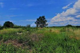 ISTRA, ROVINJ, OKOLICA - Građevinsko zemljište 1458 m2 sa otvorenim pogledom na prirodu, Kanfanar, Zemljište