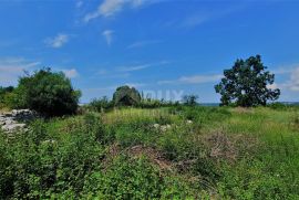 ISTRA, ROVINJ, OKOLICA - Građevinsko zemljište 1458 m2 sa otvorenim pogledom na prirodu, Kanfanar, Terrain