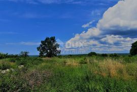 ISTRA, ROVINJ, OKOLICA - Građevinsko zemljište 1458 m2 sa otvorenim pogledom na prirodu, Kanfanar, Γη