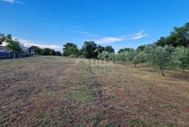 ISTRA, MARČANA- Građevinsko zemljište na lijepoj lokaciji!, Marčana, Terreno