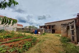 ISTRA, BRTONIGLA - Kamena kuća o velikom okućnicom, Brtonigla, House