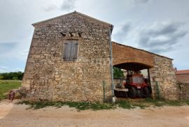 ISTRA, BRTONIGLA - Kamena kuća o velikom okućnicom, Brtonigla, Casa