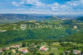 Rakotule, zemljište 10100m2, T2 namjene, djelom građevinsko, pogled na Motovun, Karojba, Terrain