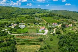 Rakotule, zemljište 10100m2, T2 namjene, djelom građevinsko, pogled na Motovun, Karojba, Terrain