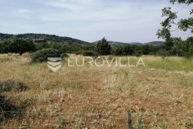 Brač, poljoprivredno zemljište u unutrašnjosti otoka (12 860 m2), Nerežišća, Tierra