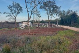 Istra, Peroj, poljoprivredno zemljište 512m2, Vodnjan, Land