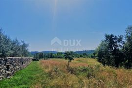 ISTRA, BUZET, OKOLICA - Građevinsko zemljište 2892 m2 u mirnom naselju, Buzet, Земля