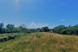 ISTRA, BUZET, OKOLICA - Građevinsko zemljište 2892 m2 u mirnom naselju, Buzet, Terra