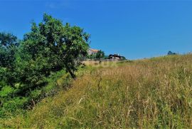 ISTRA, BUZET, OKOLICA - Građevinsko zemljište 2892 m2 u mirnom naselju, Buzet, Land