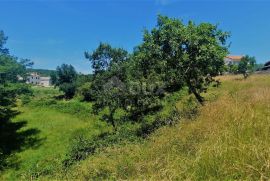 ISTRA, BUZET, OKOLICA - Građevinsko zemljište 2892 m2 u mirnom naselju, Buzet, Terra