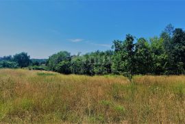 ISTRA, BUZET, OKOLICA - Građevinsko zemljište 2892 m2 u mirnom naselju, Buzet, Terrain