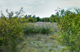 ISTRA, LABIN - Prostrano poljoprivredno zemljište, Labin, Land