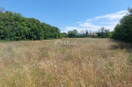 ISTRA, RAKALJ - Kompleks građevinskog i poljoprivrednog zemljišta, Marčana, Land