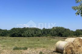 ISTRA, KRNICA - Prostrano građevinsko zemljište, Marčana, Land