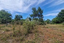 ISTRA, KRNICA - Kompleks zemljišta s pogledom na more, Marčana, Land