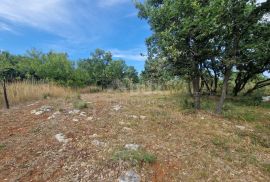 ISTRA, KRNICA - Kompleks zemljišta s pogledom na more, Marčana, Terreno