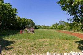 Građevinska parcela u okolici Marčane, Barban, Land