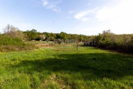 Poljoprivredno zemljište, 2628 m2, Muntić, Ližnjan, Arazi