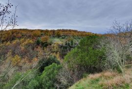 ISTRA, GROŽNJAN - Poljoprivredno zemljište u blizini naselja površine 25.760 m2, Grožnjan, Zemljište