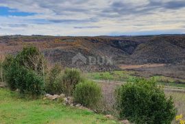 ISTRA, GROŽNJAN - Građevinsko zemljište od 2.150 m2 s kamenom kućom te šumom od 45.000 m2, Grožnjan, Land