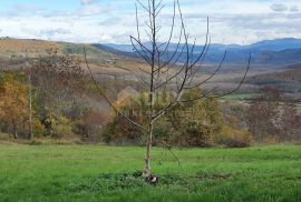 ISTRA, GROŽNJAN - Građevinsko zemljište od 2.150 m2 s kamenom kućom te šumom od 45.000 m2, Grožnjan, Terra