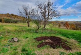 ISTRA, GROŽNJAN - Građevinsko zemljište od 2.150 m2 s kamenom kućom te šumom od 45.000 m2, Grožnjan, Arazi