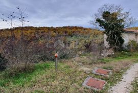 ISTRA, GROŽNJAN - Građevinsko zemljište od 2.150 m2 s kamenom kućom te šumom od 45.000 m2, Grožnjan, Land