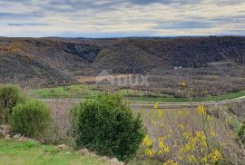 ISTRA, GROŽNJAN - Poljoprivredno zemljište površine 26.790 m2, idealno za uzgoj maslina i vinove loze, Grožnjan, Γη