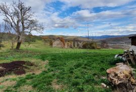 ISTRA, GROŽNJAN - Poljoprivredno zemljište površine 26.790 m2, idealno za uzgoj maslina i vinove loze, Grožnjan, Terrain