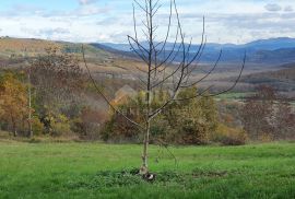 ISTRA, GROŽNJAN - Poljoprivredno zemljište površine 26.790 m2, idealno za uzgoj maslina i vinove loze, Grožnjan, Arazi