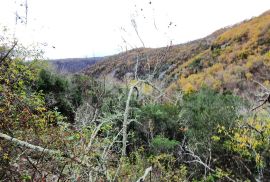 ISTRA, GROŽNJAN - Građevinsko zemljište ugostiteljsko-turističke namjene spektakularnog pogleda, Grožnjan, Land