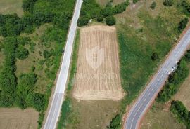 Barban, građevinsko zemljište u industrijskoj zoni, Barban, Land