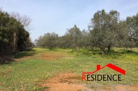 GRAĐEVINSKO ZEMLJIŠTE U INDUSTRIJSKOJ ZONI GALIŽANA, Vodnjan, Land