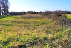 VODNJAN, GRAĐEVINSKO ZEMLJIŠTE - STAMBENO POSLOVNA ZONA, Vodnjan, Land