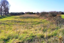 VODNJAN, GRAĐEVINSKO ZEMLJIŠTE - STAMBENO POSLOVNA ZONA, Vodnjan, Land