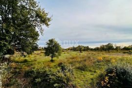 ISTRA, VODNJAN - Zemljište s pogledom na brijunski arhipelag, Vodnjan, Tierra