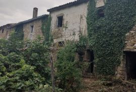 ISTRA – STARINA ZA OBNOVU, Buzet, Casa