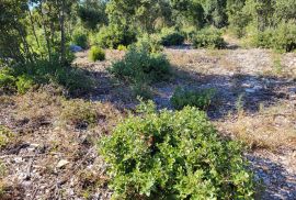 Prostrano poljoprivredno zemljište u blizini mora, Rakalj, Marčana, Land