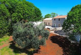 Barban, jug Istre, imanje sa kućom i 3 pomoćna objekta, Barban, Maison