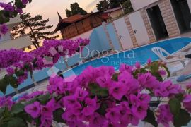 HOTEL PANSION 100m OD MORA, PRIVLAKA, Privlaka, Commercial property