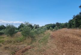 ISTRA, LABIN - Prostrano kombinirano zemljište na izvanrednoj lokaciji, Labin, Land