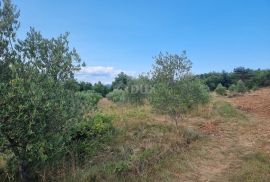 ISTRA, LABIN - Prostrano kombinirano zemljište na izvanrednoj lokaciji, Labin, Land