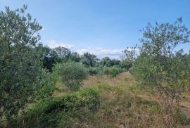 ISTRA, LABIN - Prostrano kombinirano zemljište na izvanrednoj lokaciji, Labin, Land