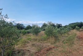 ISTRA, LABIN - Prostrano kombinirano zemljište na izvanrednoj lokaciji, Labin, Land