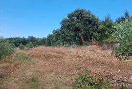 ISTRA, LABIN - Prostrano kombinirano zemljište na izvanrednoj lokaciji, Labin, Land