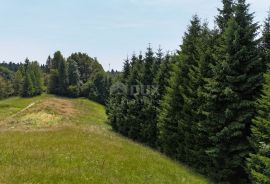 GORSKI KOTAR, LOKVE - Gr. zemljište s OFF - GRID projektom, Lokve, Arazi