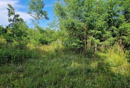 ISTRA, GROŽNJAN - Prostrano zemljište na rubu naselja, Grožnjan, Land