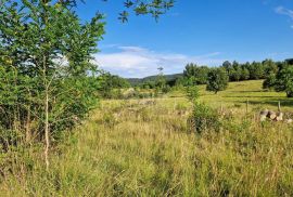 ISTRA, GROŽNJAN - Prostrano zemljište na rubu naselja, Grožnjan, Terrain