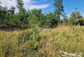 ISTRA, GROŽNJAN - Prostrano zemljište na rubu naselja, Grožnjan, Γη