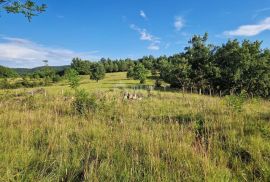 ISTRA, GROŽNJAN - Prostrano zemljište na rubu naselja, Grožnjan, Arazi